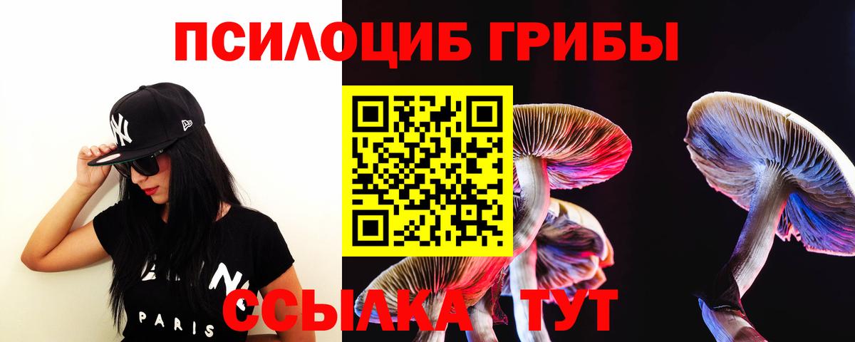 Галлюциногенные грибы Psilocybine cubensis  Вход с VPN  Магнитогорск  Галлюциногенные грибы прущие грибы 